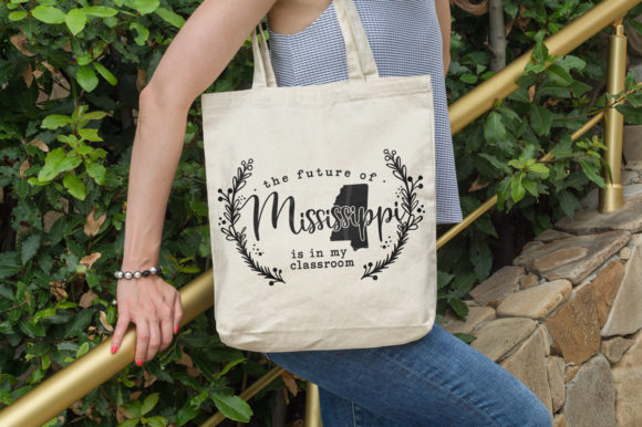 Reviewing The Future of Mississippi is in My Classroom
